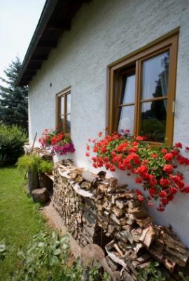 Summer Window Gardens