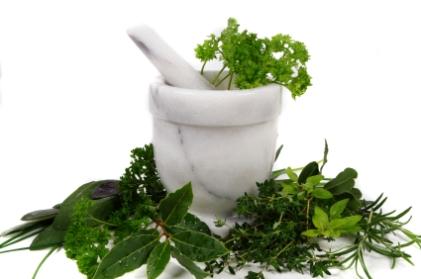 herb seeds