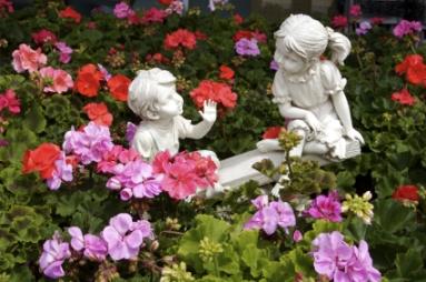 Geranium_Garden.jpg