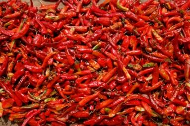 Red Chile