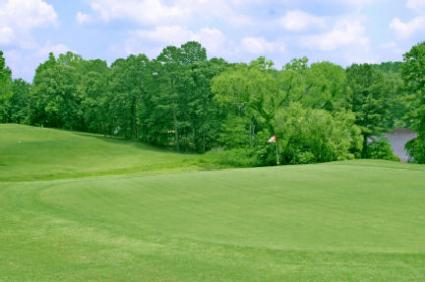 Zoysia sod tolerates heavy traffic and is frequently used on golf courses