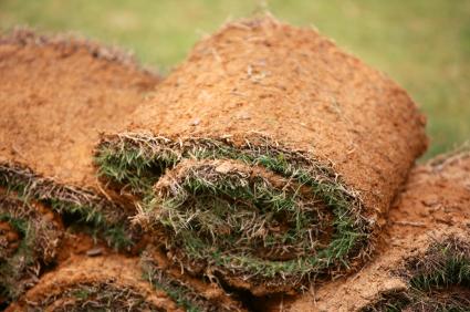 Sod rolls
