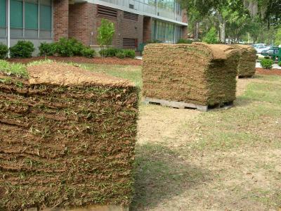 Sod waiting for installation