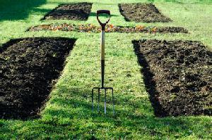 vegetable garden