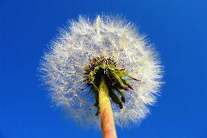 Get rid of unsightly weeds.