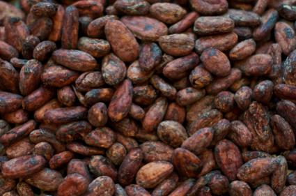cocoa beans
