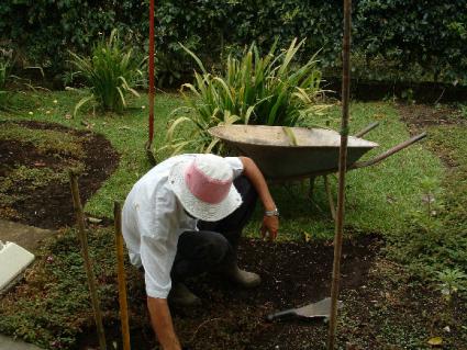 person planting a garden