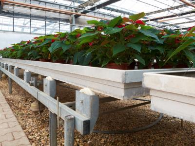 Benches over damp gravel beds