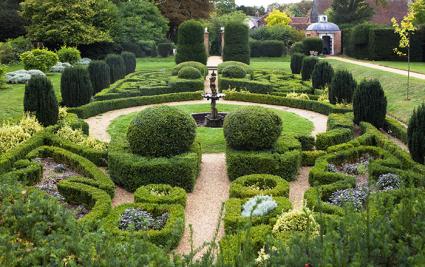 Interior Garden