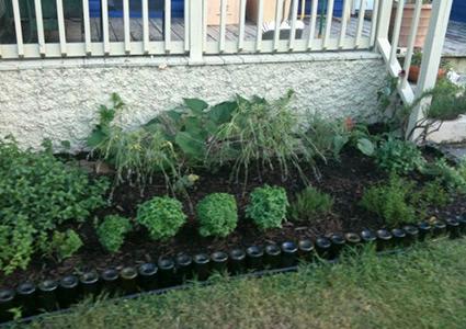 Colored glass bottles edging herb garden