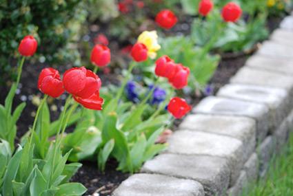 Raised flower bed
