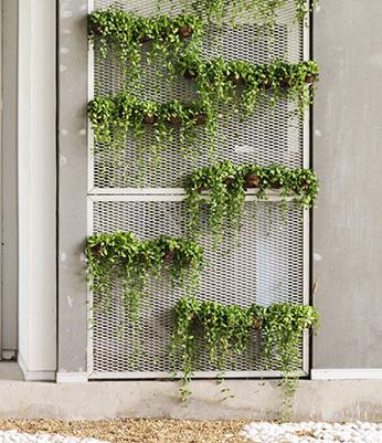 Vertical Garden Ideas  LoveToKnow