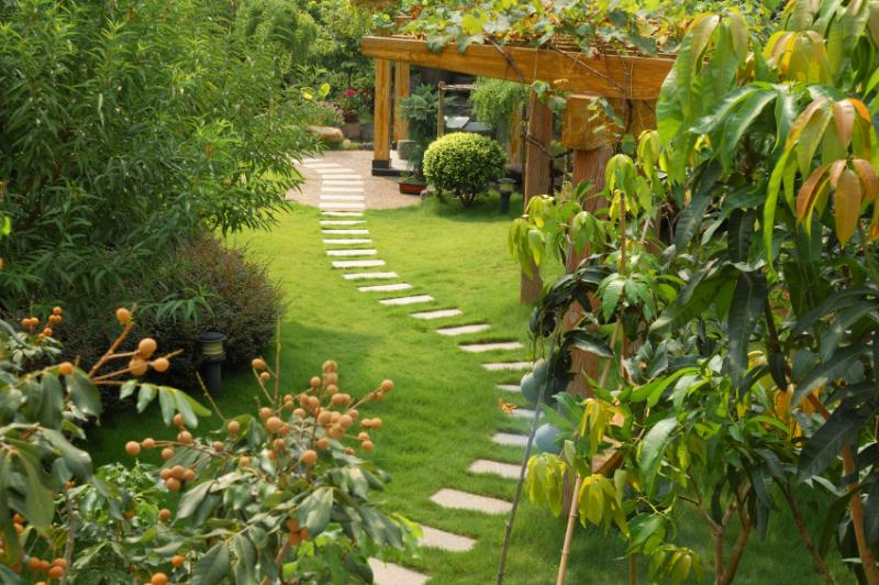 Backyard Landscape Design Pictures Lovetoknow