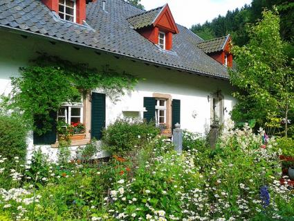 old-fashioned garden
