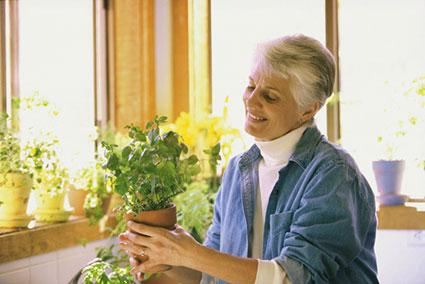 Woman holding a potted plant