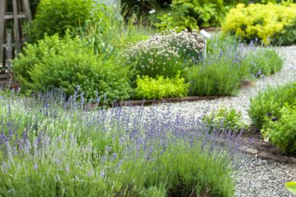 Herb garden