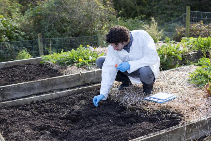 Carrying out a soil analysis
