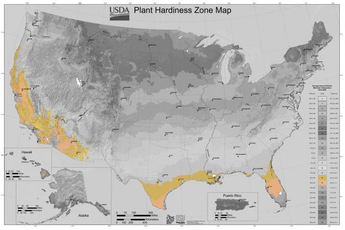 USDA Gardening Zone 9 LoveToKnow
