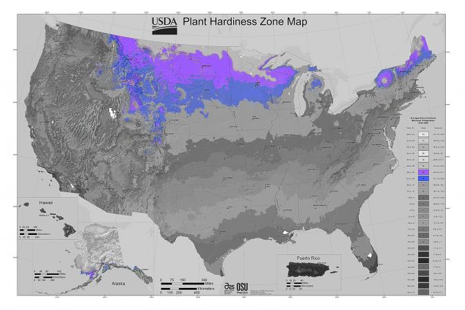 USDA Gardening Zone 4 LoveToKnow
