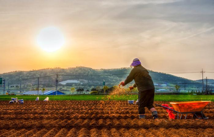 Pouring fertilizers