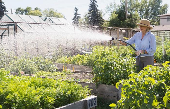 Water Your Garden