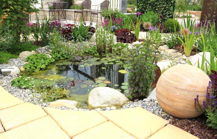 Water Garden Plants