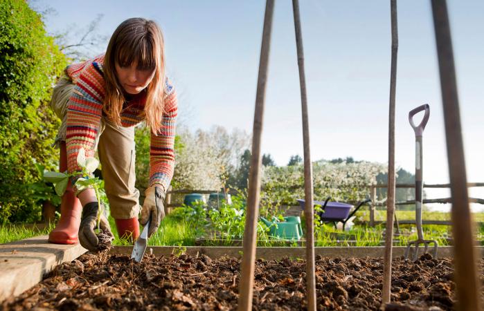 Working in a Veg Garden