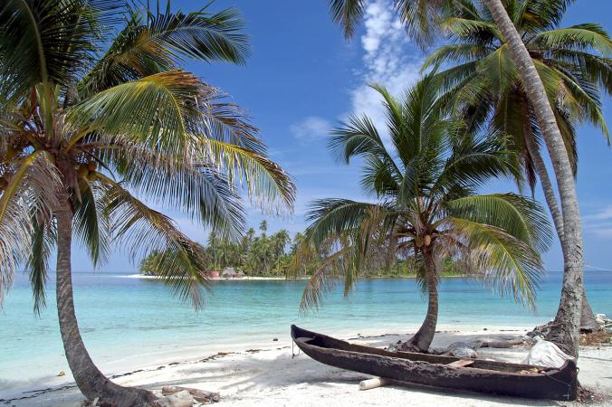 Palm trees on beach in Panama