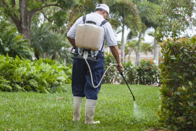 Weed control technician spraying weeds