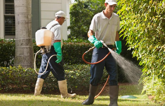Gardeners spraying plants