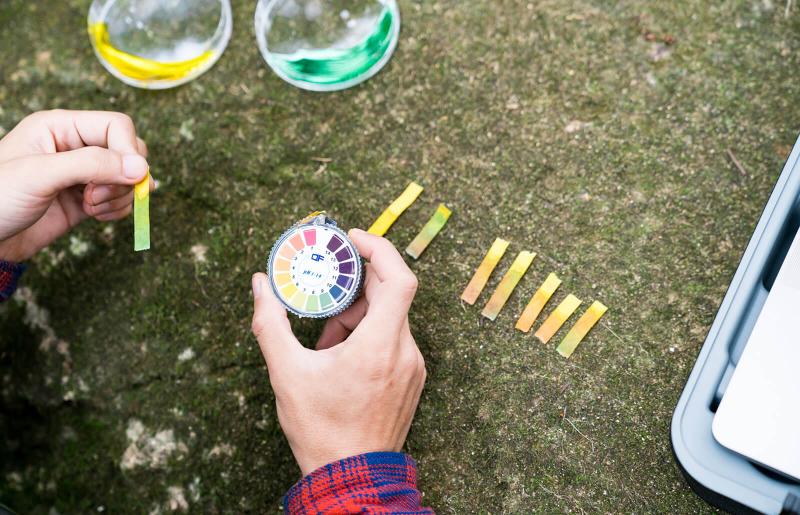 How to Test Soil pH LoveToKnow