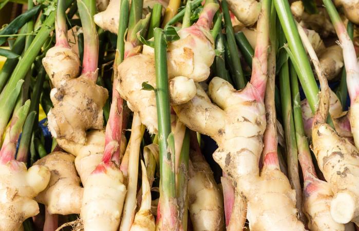 Display of fresh ginger root