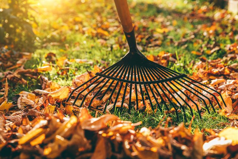Fall Garden Cleanup Checklist to Prep for Next Year LoveToKnow