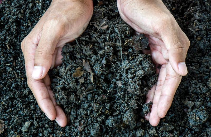 10 Ways to Conserve Soil LoveToKnow