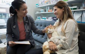 Veterinaria hablando con dueña del gato