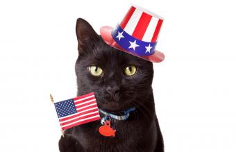 gato negro con sombrero patriótico