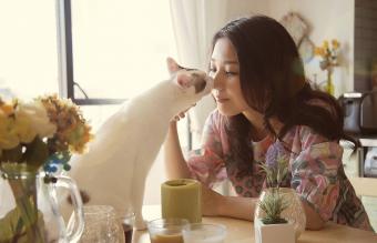 Besos de mujeres y gatos