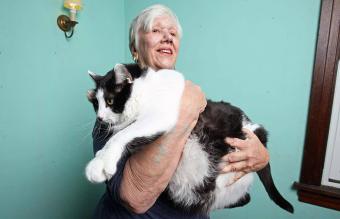 Stacy Jones Olandt con gato Sprinkles