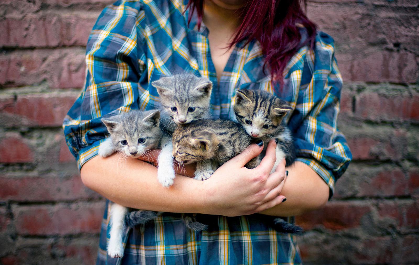 Chica con sus gatitos