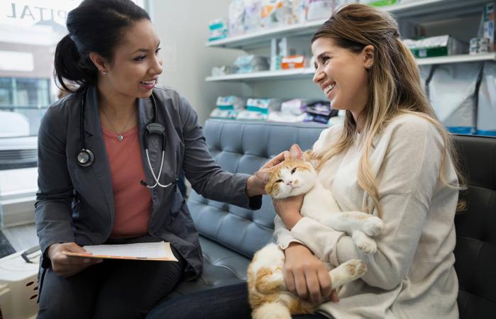 Mujer llevando a su gato al veterinario