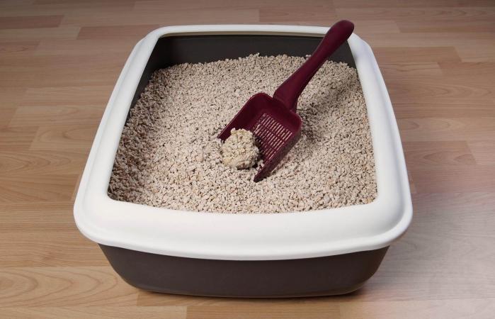 Caja de arena del gato en el piso