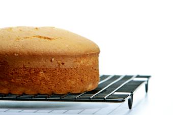 Sponge cake