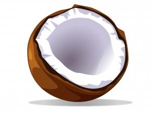 Coconut shell