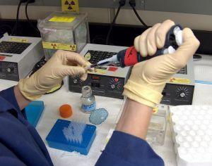 Laboratory research