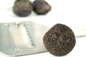 black truffle
