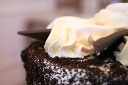 Chocolate mousse torte