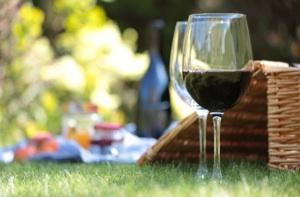 Elegant_picnic300.jpg