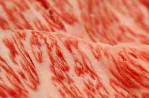 Kobe Beef