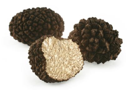 Truffle