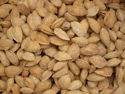 Almond trees grow in a warm climate.